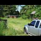 Ein Vogelsing-Wettbewerb, die Besitzer müssen Abstand halten